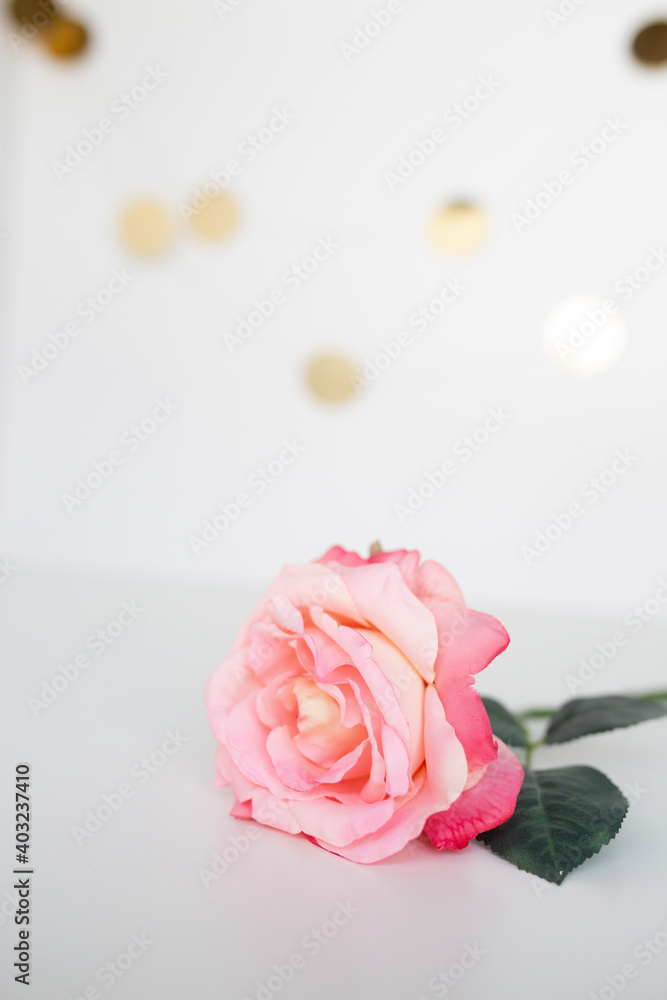 Fototapeta premium pink roses flat lay against a white background