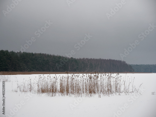 evening falls on a winter lake in the snow