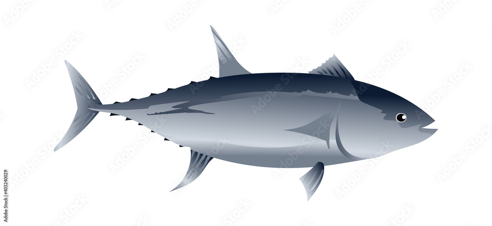 Tuna fish realistic style stock illustration