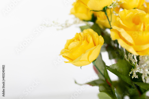 Fototapeta Naklejka Na Ścianę i Meble -  yellow roses flat lay against a white background