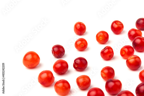 Nanking or felted cherry fruits, isolated on  white background © Olga