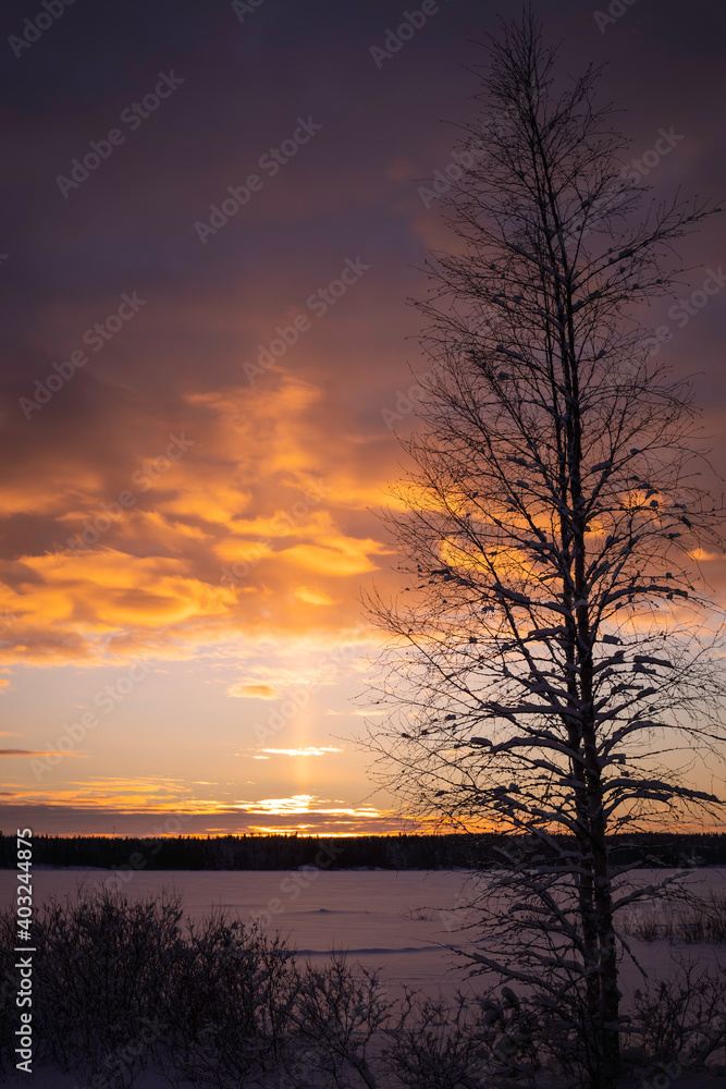 sunrise over the lake