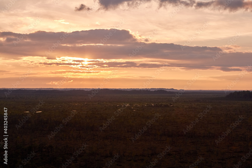 Teichu bog in summer evening, view from top