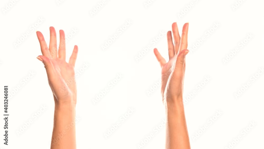 two female hands show palms on either side on a white background two female hands show palms on either side on a white background
