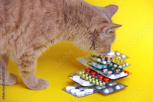 A red cat sniffs medicines that are stacked in a pyramid in blisters on a yellow background. Pet treatment concept. The health of cats. Veterinary services concept.