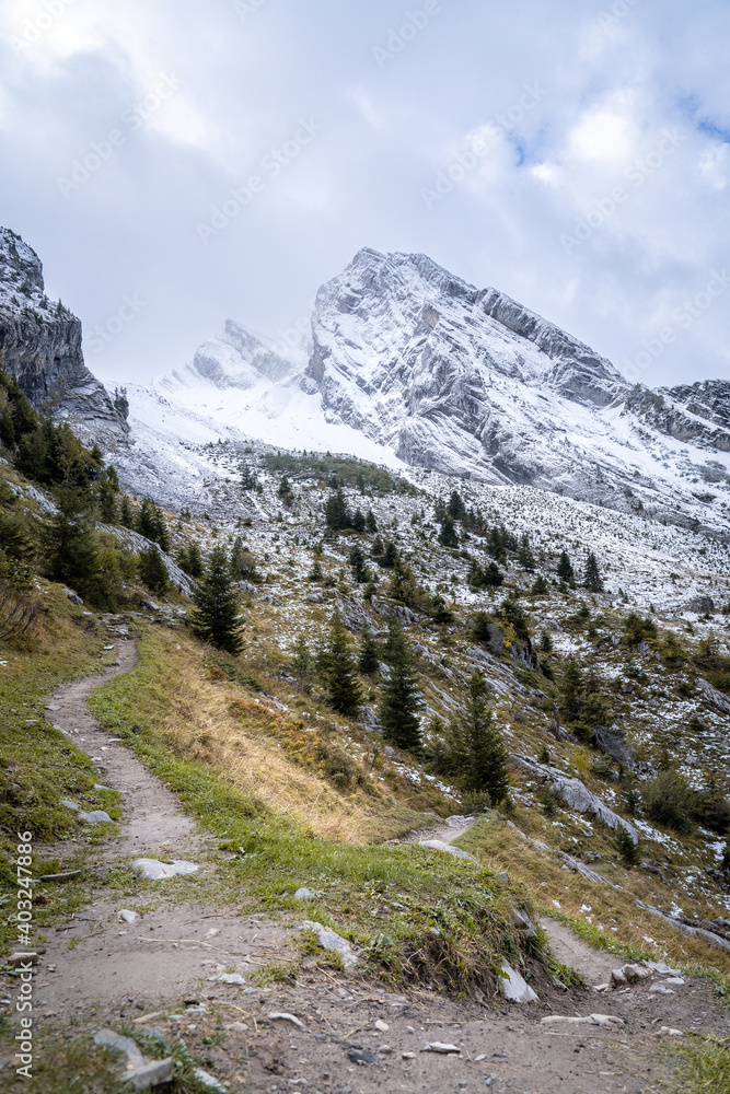 landscape in the mountains