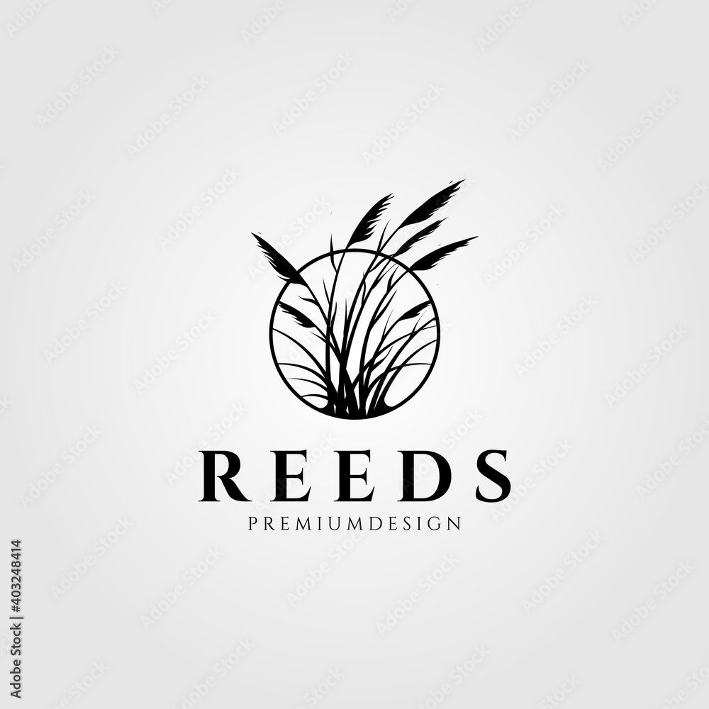 reeds logo vector aquatic plant illustration design reeds logo vector aquatic plant illustration design