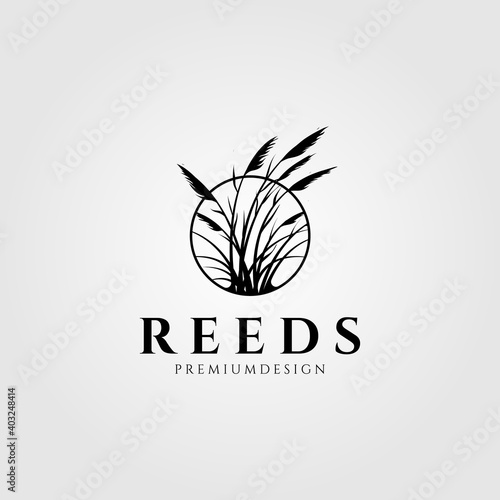 reeds logo vector aquatic plant illustration design