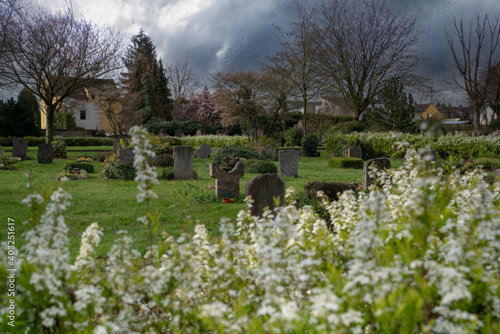 Blühende Sträucher und Blick über einen Friedhof