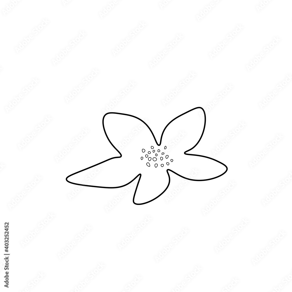 Fototapeta premium Vector Asian flower in doodle style Spring botanical illustration for Chinese New Year.Cherry blossom sakura with black hand drawn line.Design cards,social media,weddings,stickers,coloring books.