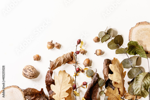 Composition with yellow maple leaves, eucalyptus branches