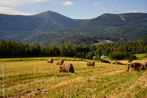 Fototapeta Naklejka Na Ścianę i Meble -  Hay and haycock on a cloudy day in the autumn in the Karkonosze moutains, Giant Moutains in Poland