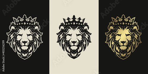 Lion head vintage logo icon illustration