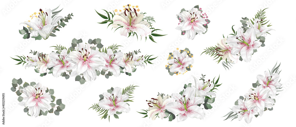 Vector set of compositions with white lilies