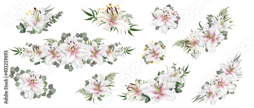 Vector set of compositions with white lilies