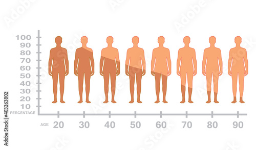 Male testosterone production level with age. vector 