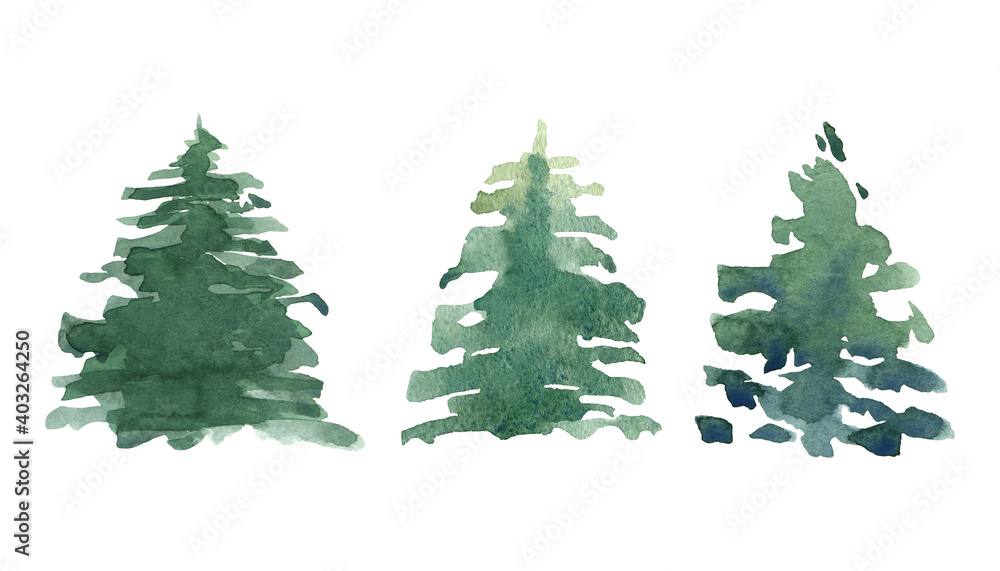 Obraz premium watercolor clipart of pine trees, sketch of spruce, cedar, pine. Evergreen trees for cards, logos, invitations, posters 