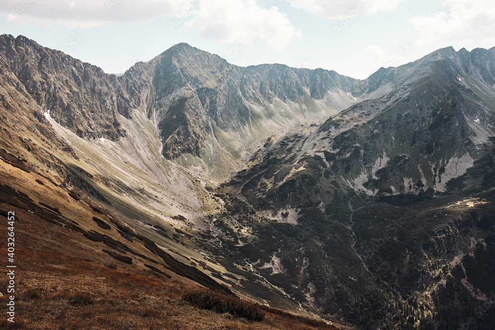 Tatra Mountains landscape. Scenic view of mountain rocky peaks, slopes, hills and valleys covered with grass, mugo pine and trees