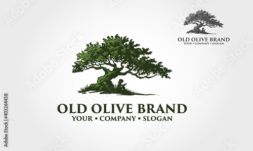 Old Olive Vector Logo Illustration. This logo template suitable for fashion, clothing businesses, olive oil labels, health care product, nutrition supplements, hotels, spa, beauty, salon, etc.