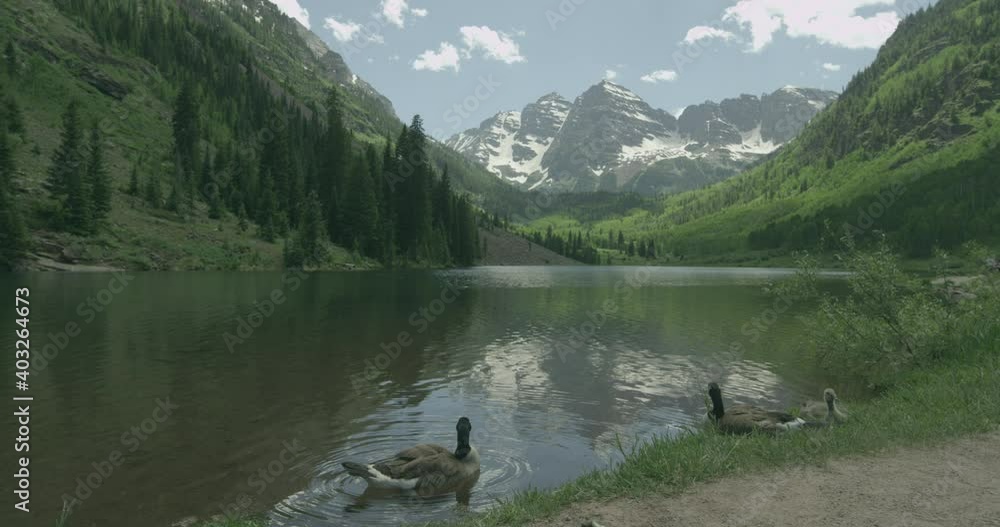 Scenic view of Rocky mountains and a geese family in foreground at a lake in sunny summer day with cloud shadows passing by Scenic view of Rocky mountains and a geese family in foreground at a lake in sunny summer day with cloud shadows passing by
