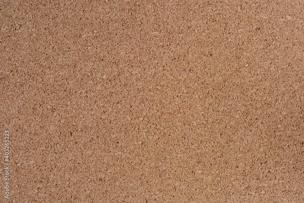 Fototapeta premium Surface with the texture of cork wood, close-up.