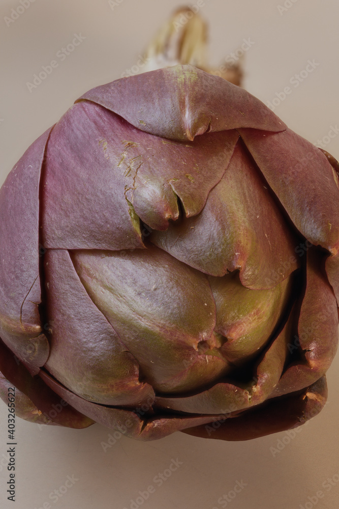 Obraz premium raw artichoke