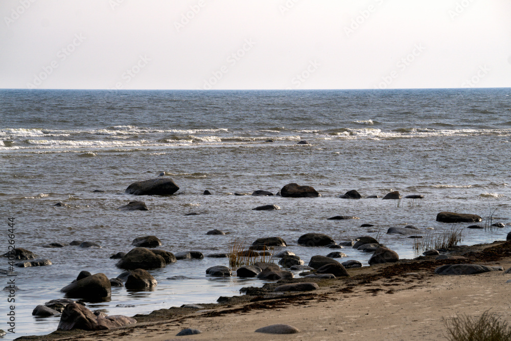 Large stone boulders on the shore of the Gulf of Riga.