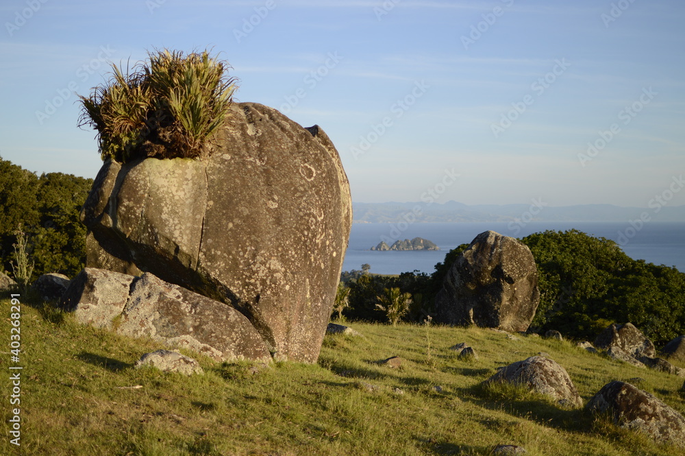 Large volcanic boulder rounded