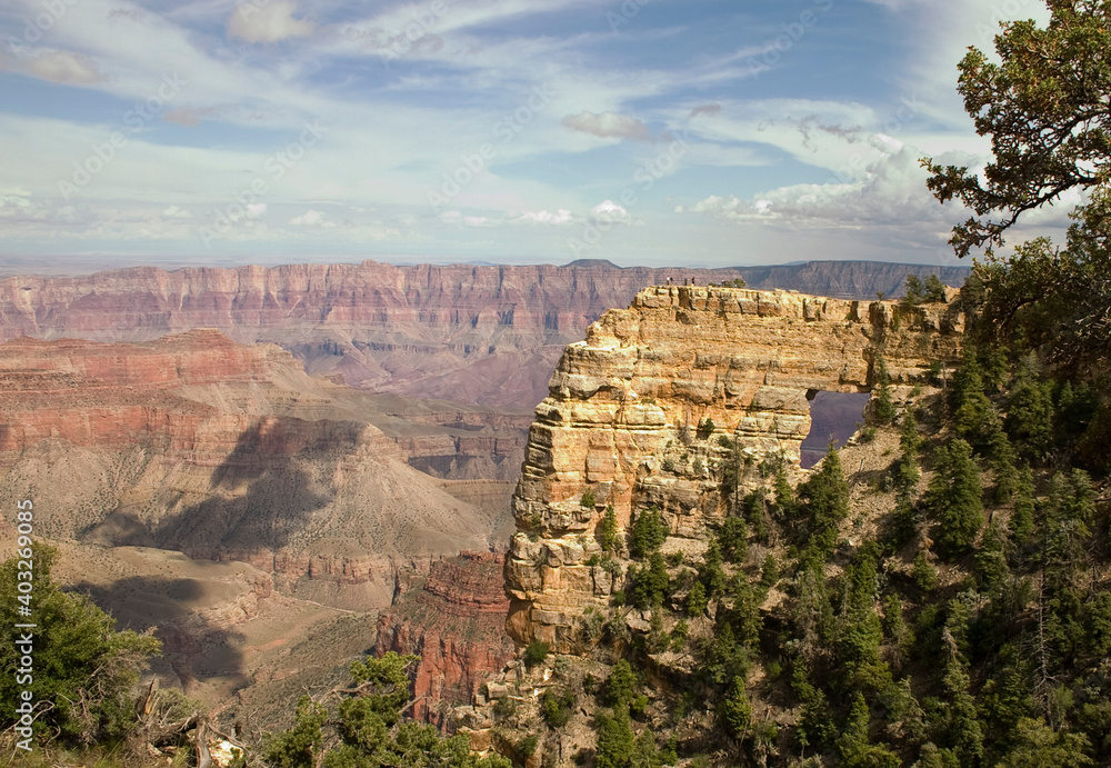 Obraz premium Grand Canyon Overlook
