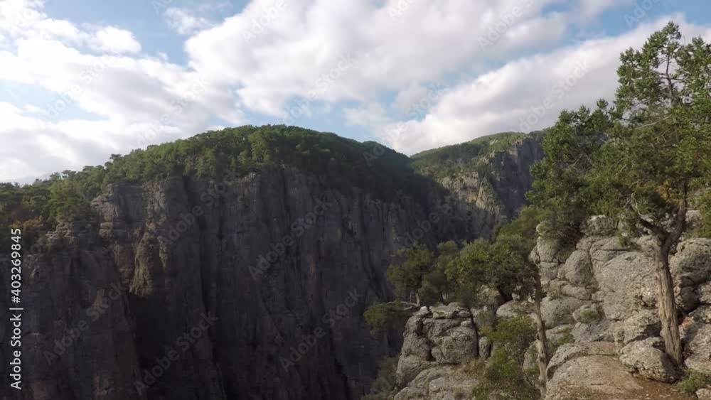 the deep forest canyon the background of the first person the deep forest canyon the background of the first person