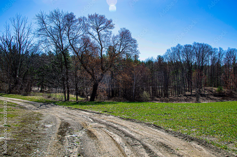 Farmland with dirt road with shed blue sky