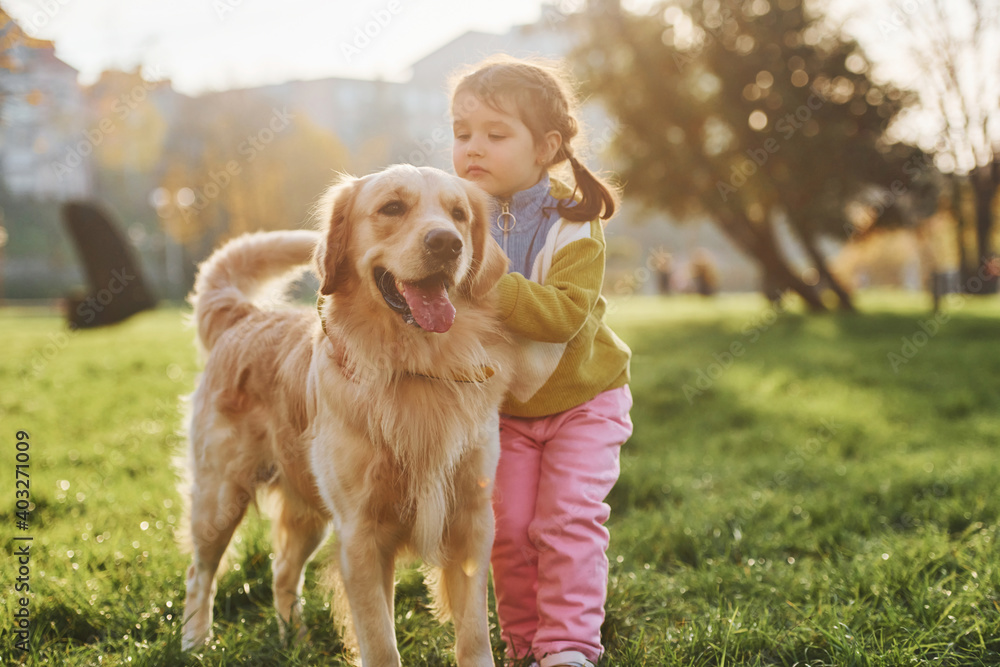 Little girl have a walk with Golden Retriever dog in the park at daytime Little girl have a walk with Golden Retriever dog in the park at daytime