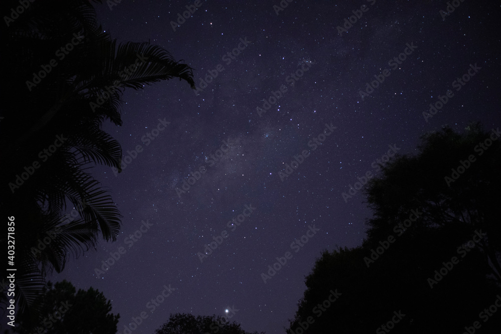 Fototapeta premium night sky with stars
