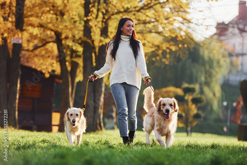 Photography Brunette walks with two Golden Retriever dogs in the park at daytime