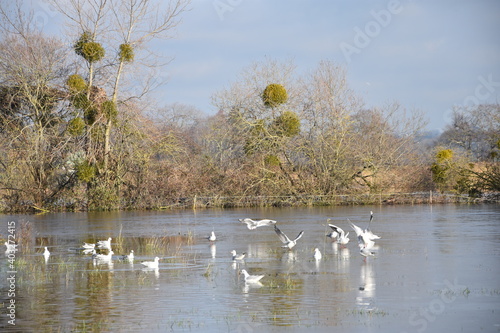 Wallpaper Mural granville, sud-manche, plage, jullouville, plage, normandie, dior, haute-ville Torontodigital.ca