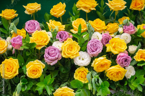 rose flower in bouquet background