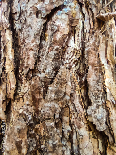 Abstract background texture...