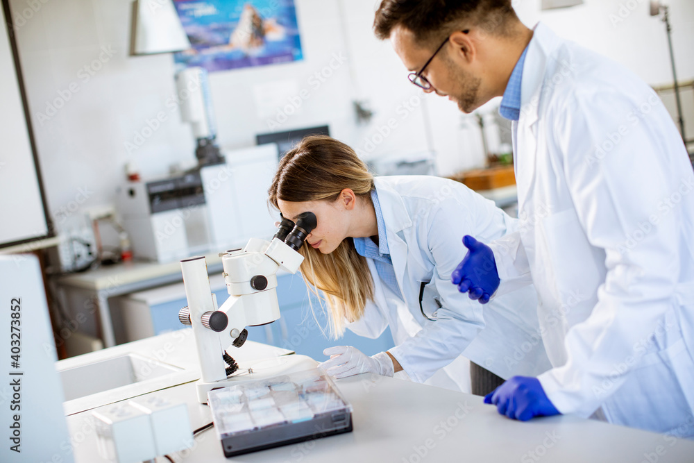 Group of young researchers analyzing chemical data in the laboratory Group of young researchers analyzing chemical data in the laboratory