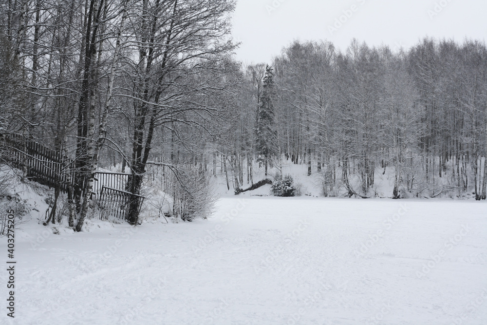 Obraz premium Winter landscape, frozen river and trees in the snow