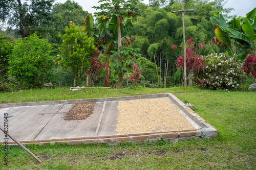Séchage artisanal du café dans une ferme à Filandia, Quindio, Colombia photo