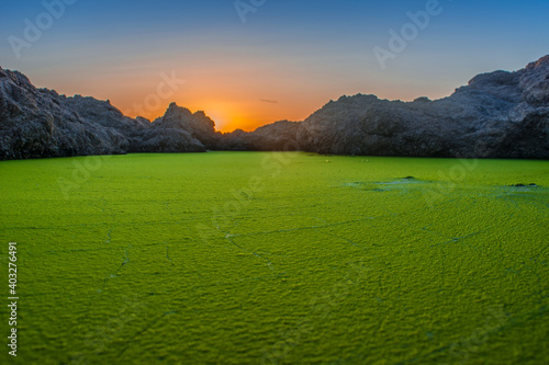 Green Algae or pond scum, cyanobacteria harmful algae. photo