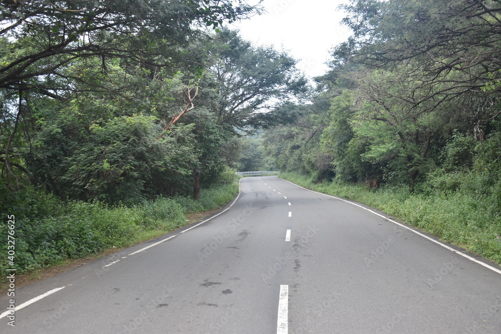 Obraz premium beautiful landscape view of hill mountain road green forest