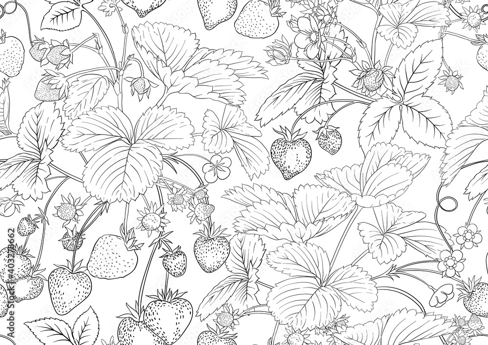 Strawberry. Ripe berries. Seamless pattern, background. Outline vector illustration. In botanical style Isolated on white background..