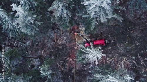 Logging Machine in the woods. Forest machinery, Cutting trees aerial shot