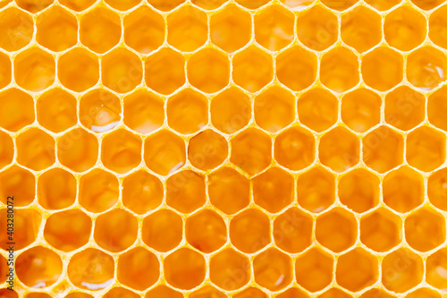 Leinwand Poster Background texture and pattern of a section of wax honeycomb from a bee hive fil
