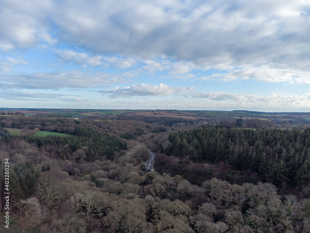 Fototapeta premium ladock wood in cornwall England uk aerial drone photograph