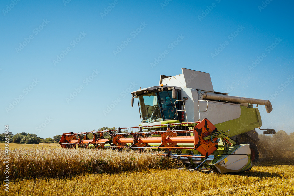 Combine harvester harvests ripe wheat. Concept of a rich harvest. Agriculture image Combine harvester harvests ripe wheat. Concept of a rich harvest. Agriculture image