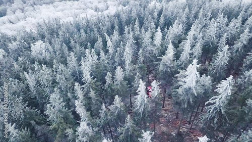 Logging Machine in the woods. Forest machinery, Cutting trees aerial shot