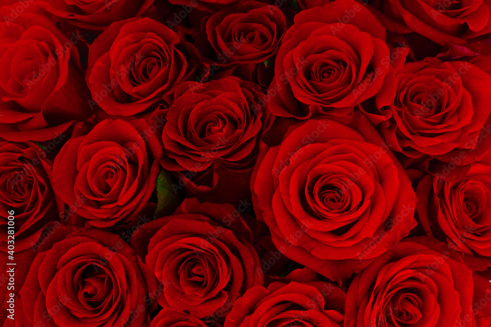 Naklejka premium bouquet of dark red roses