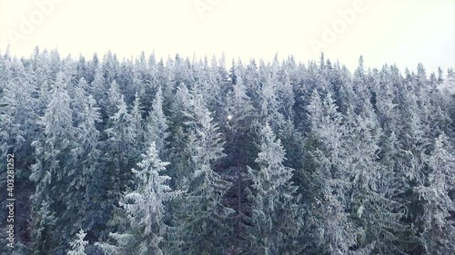 Logging Machine in the woods. Forest machinery, Cutting trees aerial shot